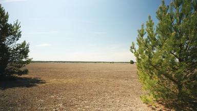 Lieberoser Heide