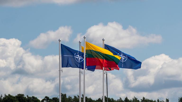 Litauen, Vilnius: Flaggen der Nato-Mitgliedsländer wehen im Wind vor dem Veranstaltungsort des Nato-Gipfels.