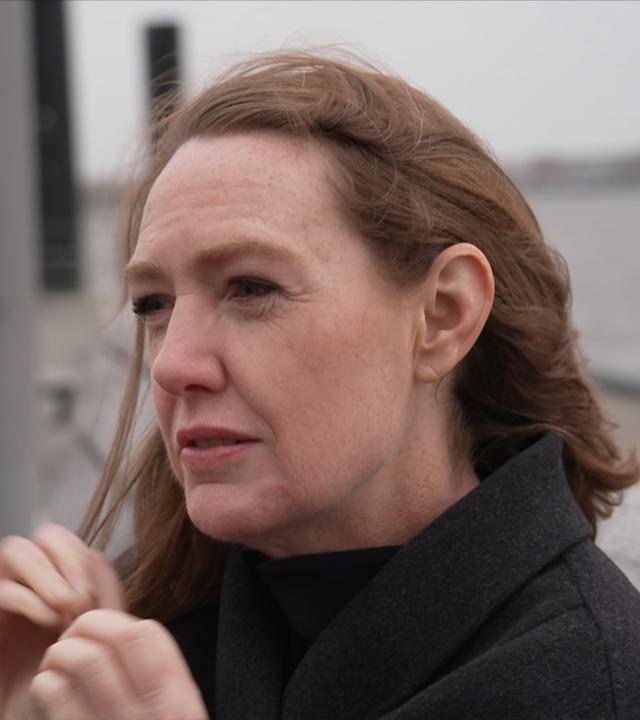 Neues Buch von Paula Hawkins