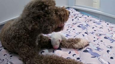 Bild