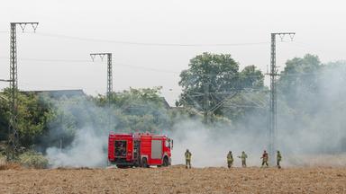Feuerwehrleute bei Löscharbeiten an einer Bahnstrecke am 10.07.2026 in Langenfeld, Nordrhein-Westfalen.