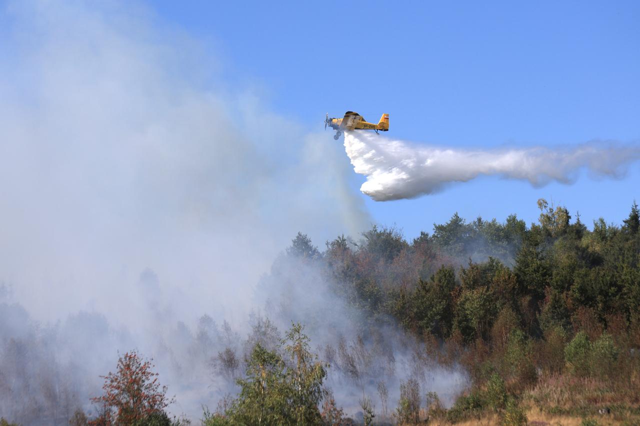 Das Löschflugzeug "Hexe 1" wirft über einem Wald bei Benneckenstein, Sachsen-Anhalt, Wasser am 13.08.2026 ab. 
