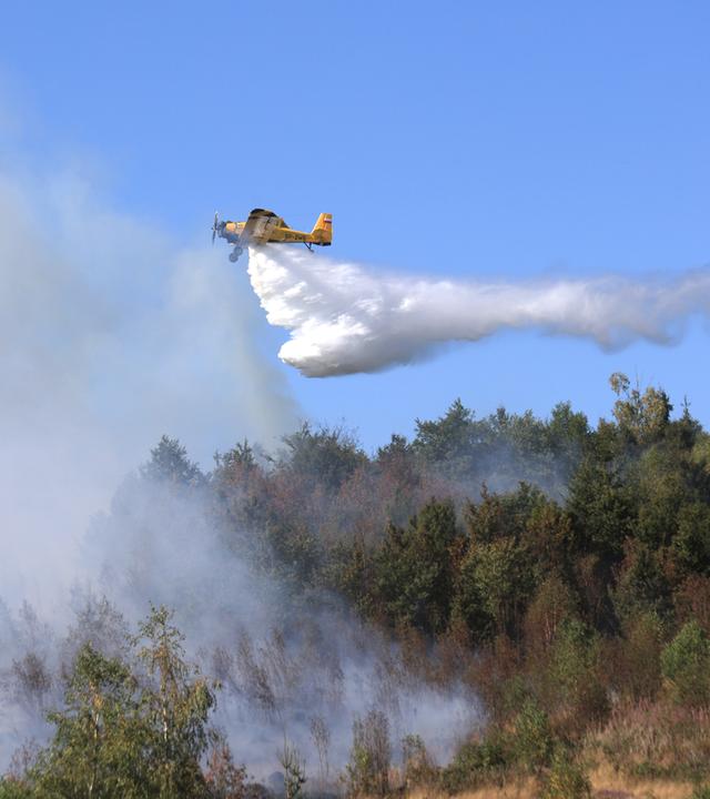 Das Löschflugzeug "Hexe 1" wirft über einem Wald bei Benneckenstein, Sachsen-Anhalt, Wasser am 13.08.2026 ab. 