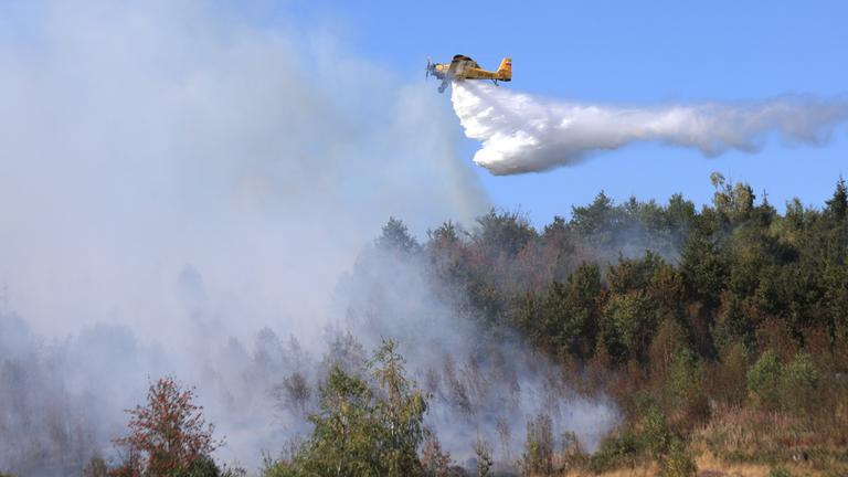 Das Löschflugzeug "Hexe 1" wirft über einem Wald bei Benneckenstein, Sachsen-Anhalt, Wasser am 13.08.2026 ab. 