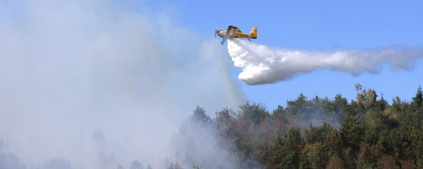 Das Löschflugzeug "Hexe 1" wirft über einem Wald bei Benneckenstein, Sachsen-Anhalt, Wasser am 13.08.2026 ab. 