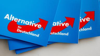 Archiv: Das Logo der Partei "Alternative für Deutschland, 29.08.2019.