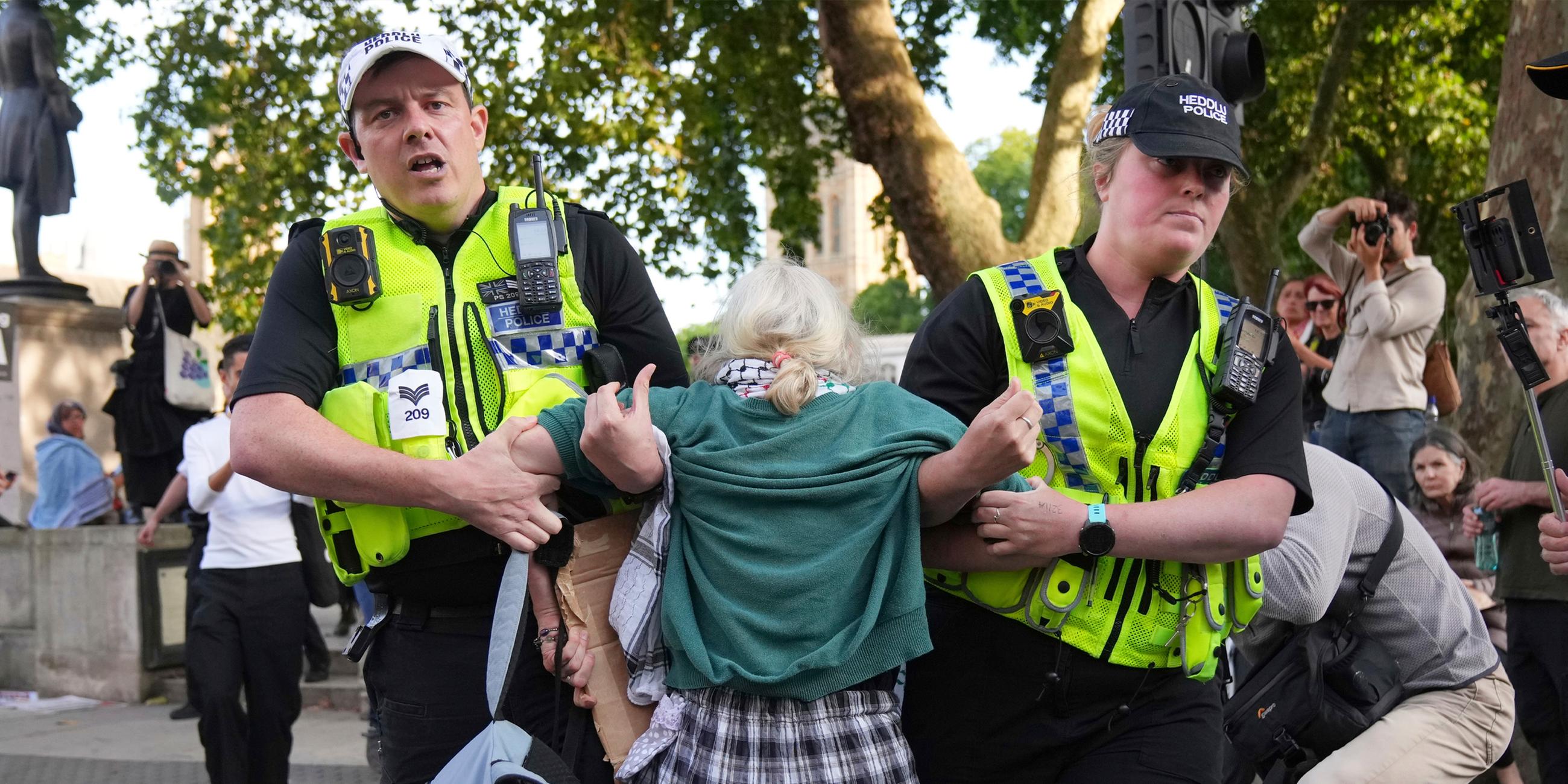 Polizisten tragen einen Demonstranten während einer Protestaktion zur Unterstützung von Palestine Action am Samstag, 6. September 2025, in London.