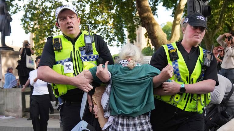 Polizisten tragen einen Demonstranten während einer Protestaktion zur Unterstützung von Palestine Action am Samstag, 6. September 2025, in London.