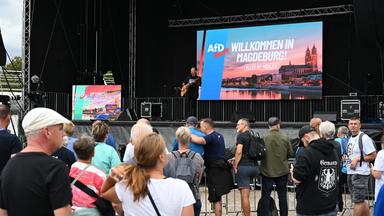 Besucher stehen vor der Bühne eines AfD-Familienfests in Magdeburg, während ein Musiker auftritt. den Umfragewerten zufolge wird die AfD mit Abstand die stärkste Kraft.