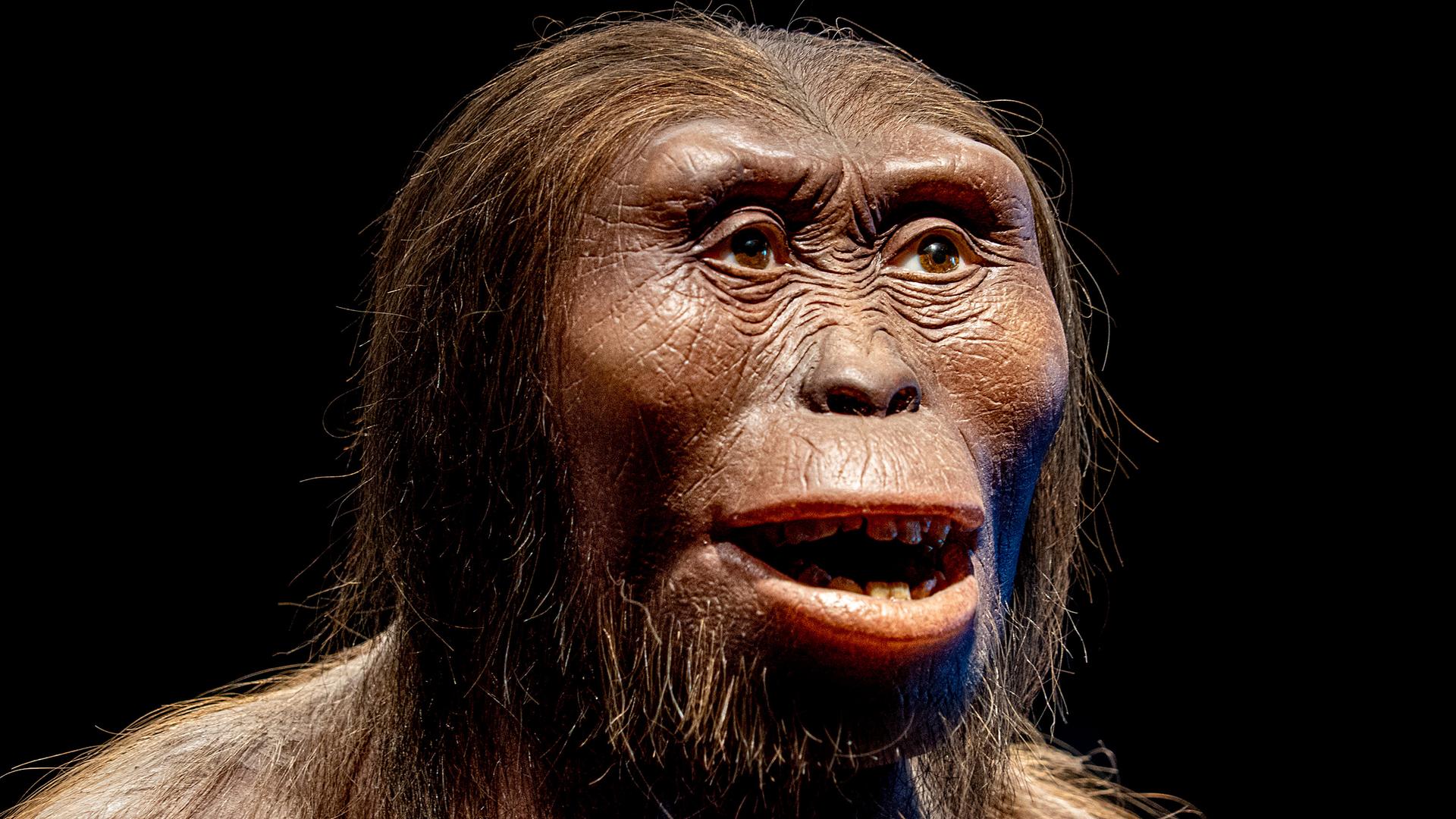 Lucy Neandertaler