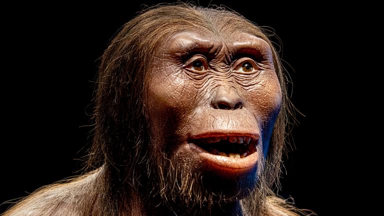 Lucy Neandertaler