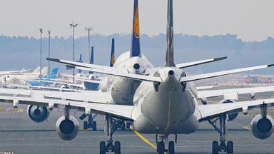 Maschinen der Lufthansa am Flughafen Frankfurt (Archivbild)