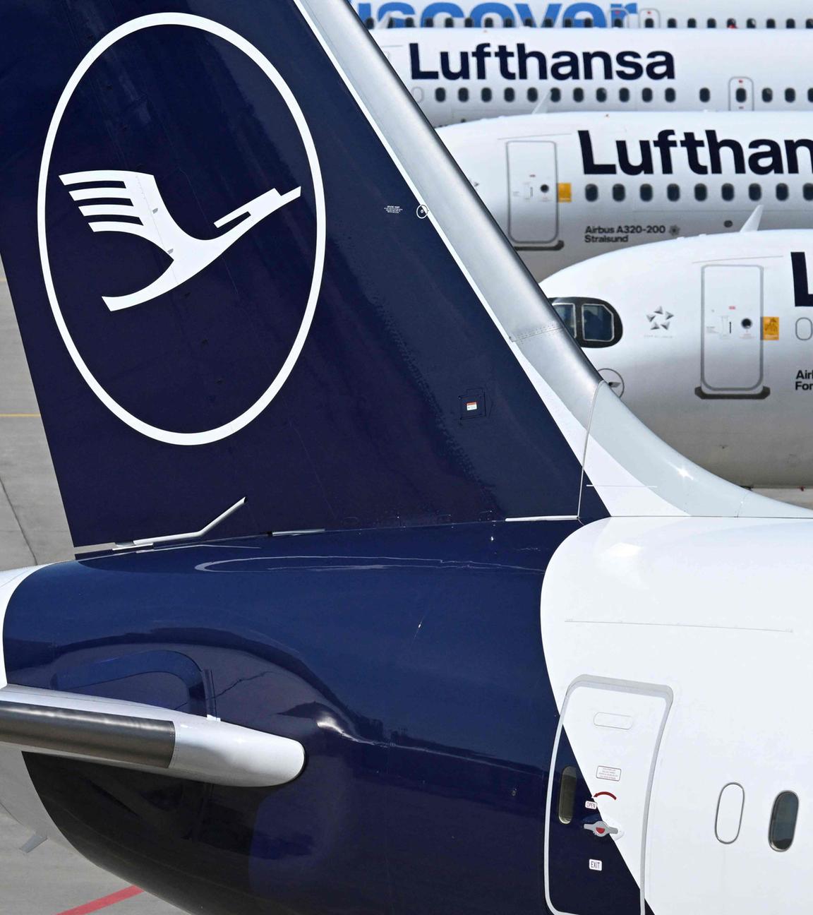 Das Logo der Lufthansa ist am 15.042026 auf mehreren Flugzeugen auf dem Rollfeld des Flughafens Frankfurt am Main zu sehen