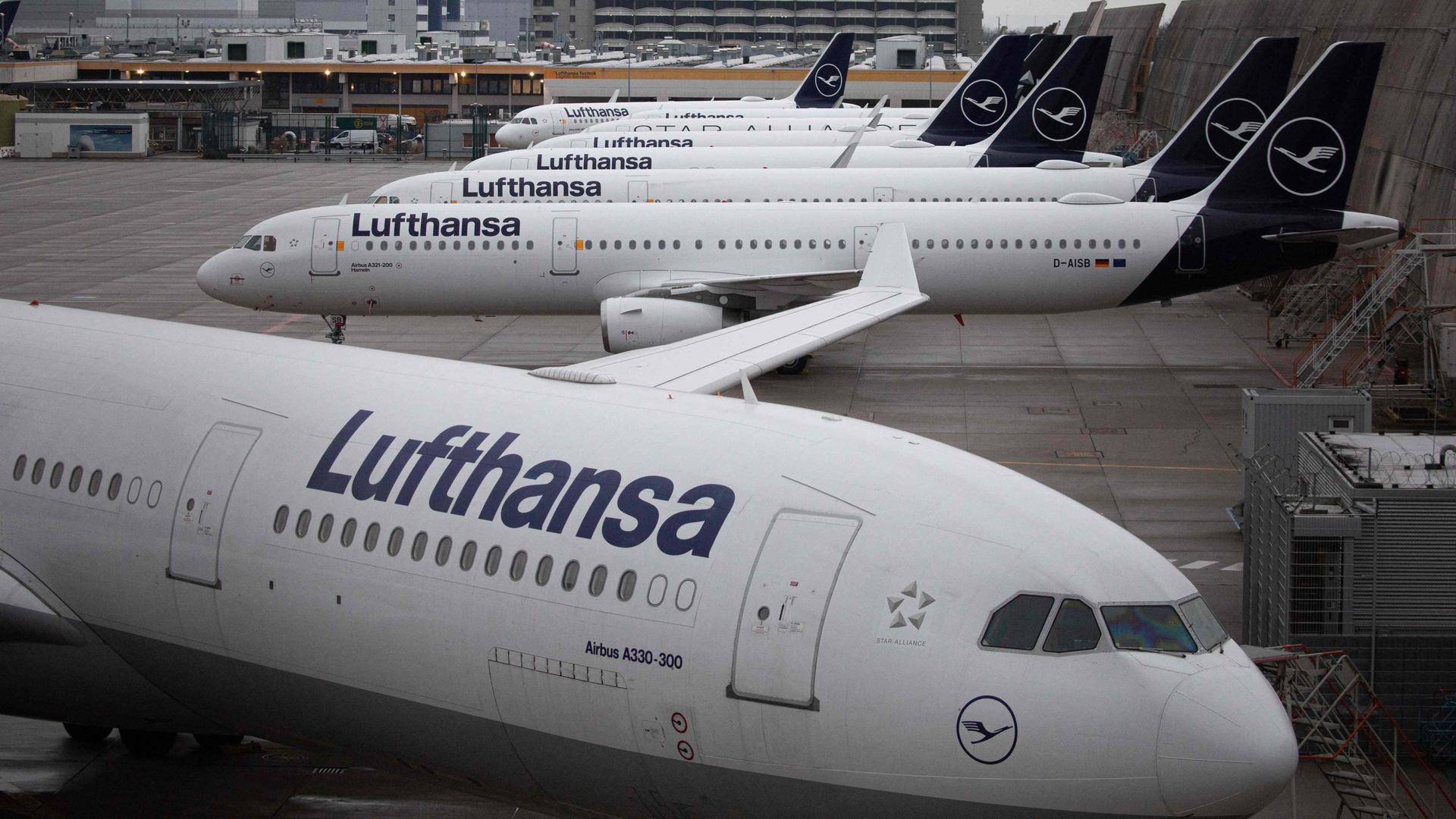 mehrere Lufthansa-Flugzeuge, im Hintergrund ein grauer Himmel 