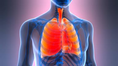 Was tun, wenn die Lunge vernarbt?