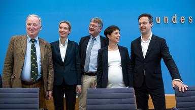 Die Parteispitze der AFD: Alexander Gauland, Alice Weidel, Jörg Meuthen, Frauke Petry und Marcus Pretzell (v.l.n.r.).