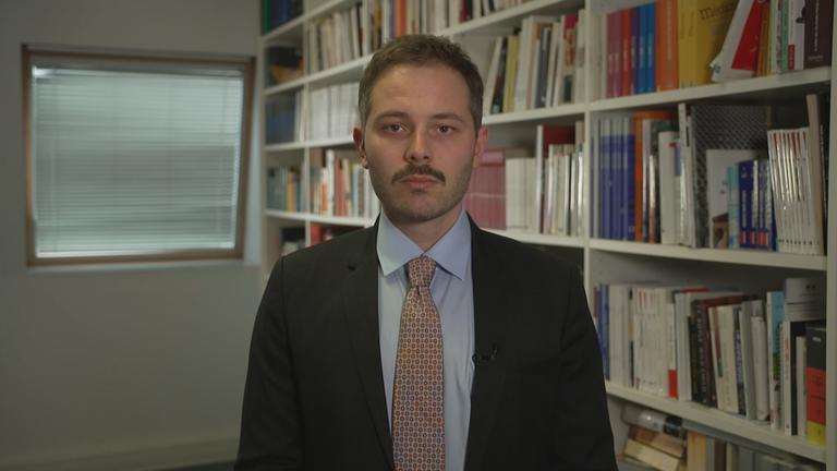 Politikwissenschaftler Ross