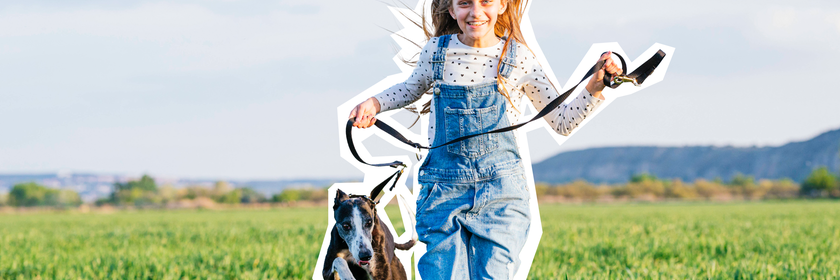 Mädchen führt Hund auf einer Wiese spazieren