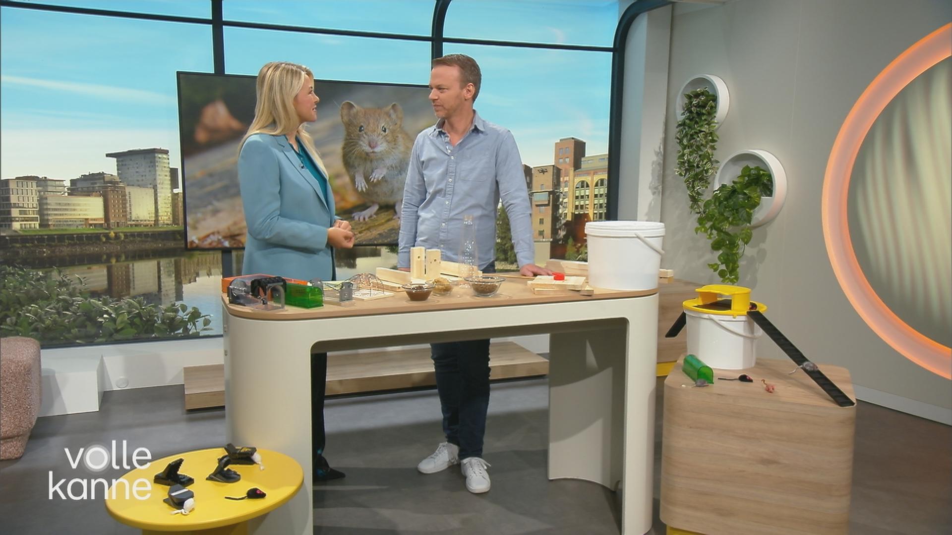 Tierschützer Christian Ehrlich und Moderatorin Nadine Krüger im Volle-Kanne-Studio mit Mäuse-Fallen.