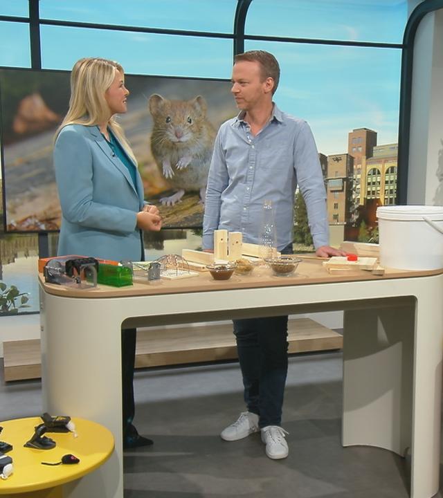 Tierschützer Christian Ehrlich und Moderatorin Nadine Krüger im Volle-Kanne-Studio mit Mäuse-Fallen.