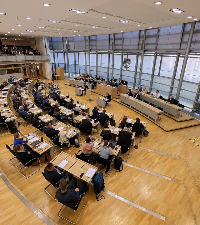 Blick zu Beginn ins Plenum.