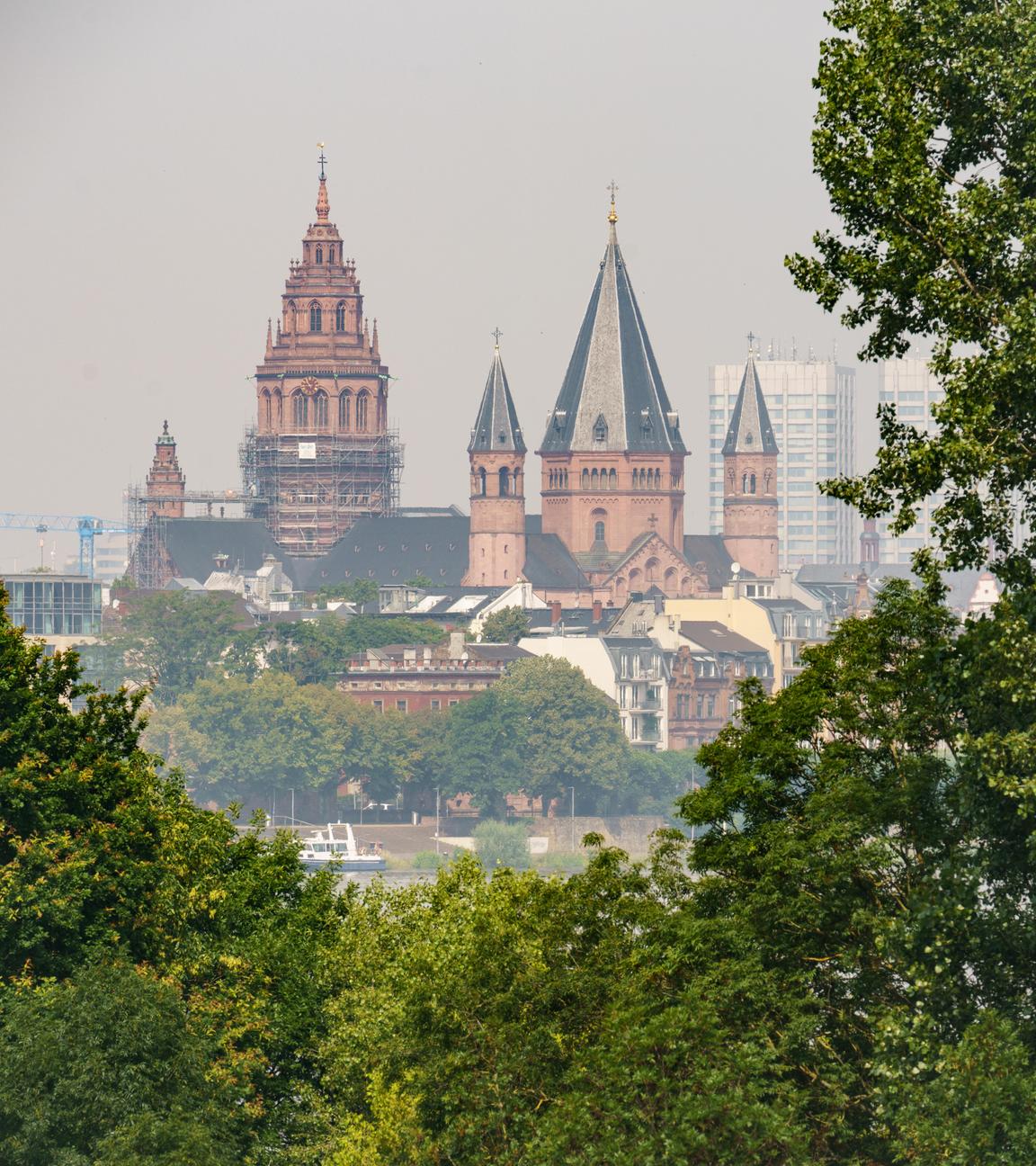 Der Mainzer Dom