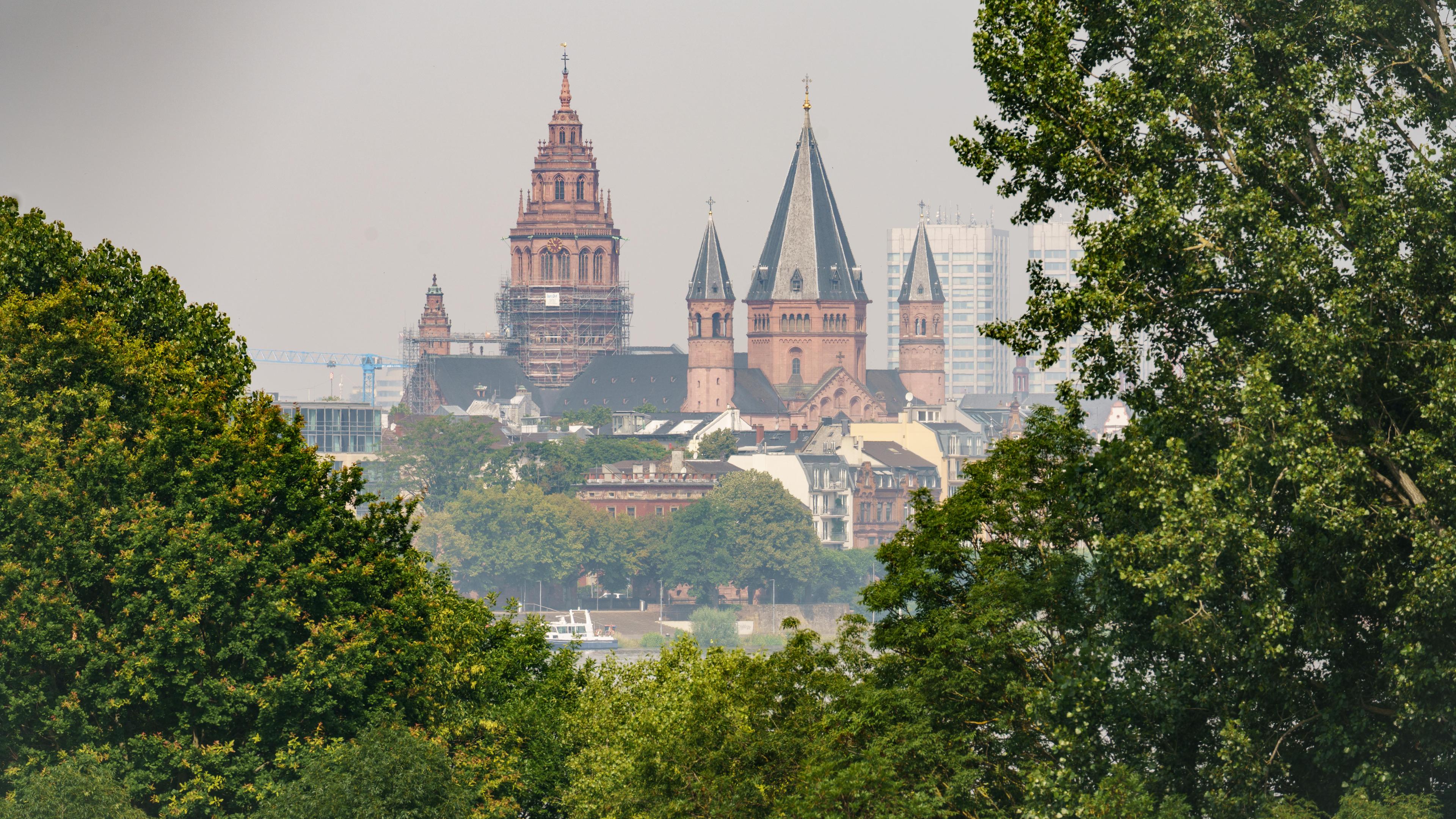 Der Mainzer Dom