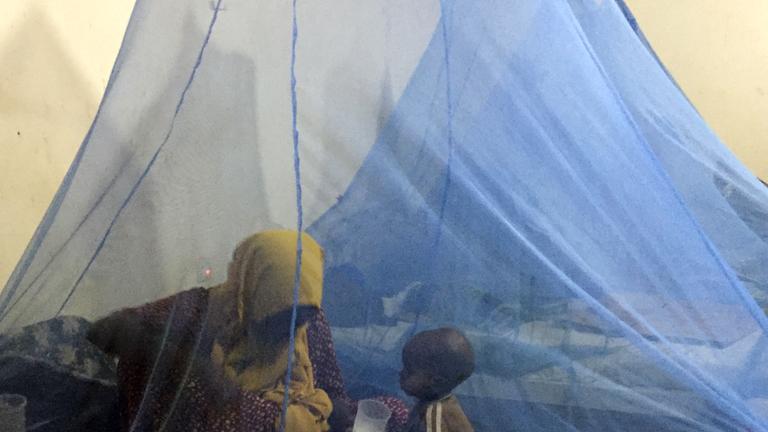 Symbolbild: Mutter mit ihrem Kind unter Moskitonetz