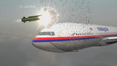 Malysia Flugzeug Abschuss