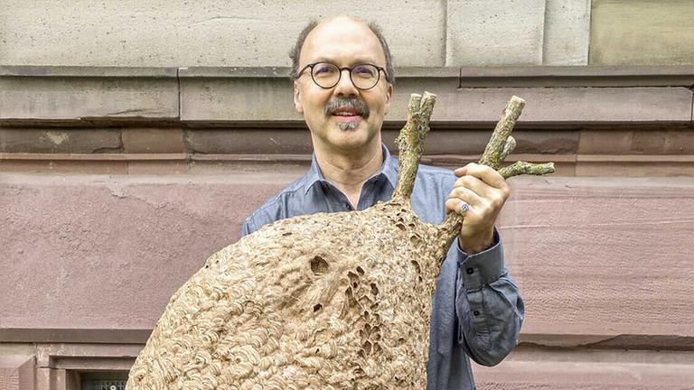 Manfred Verhaagh mit einem Nest der Asiatischen Hornisse
