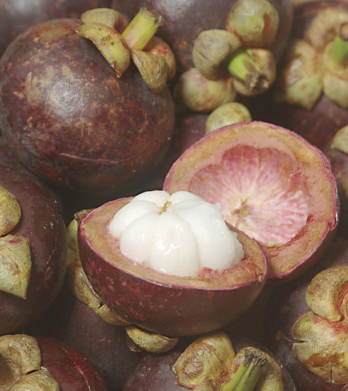 Viele Mangostan Früchte liegen in einer Schale.