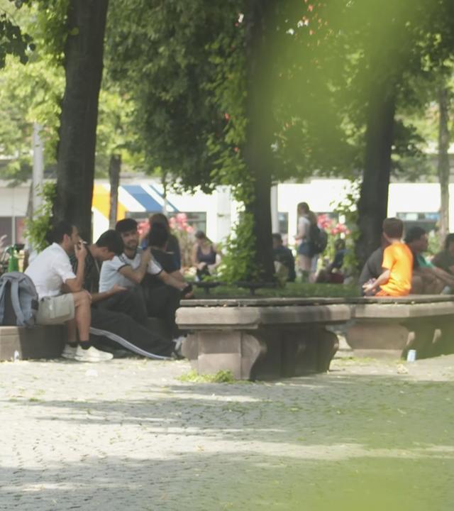 Eine Menschenmenge, die im Schatten unter Bäumen sitzt, um sich vor der Hitze zu schützen.