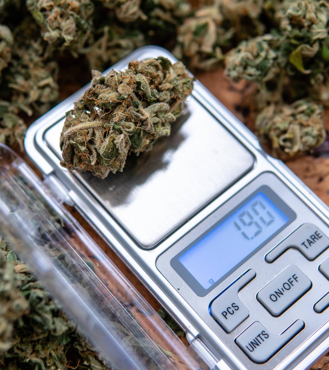 Marijuana wird abgewogen