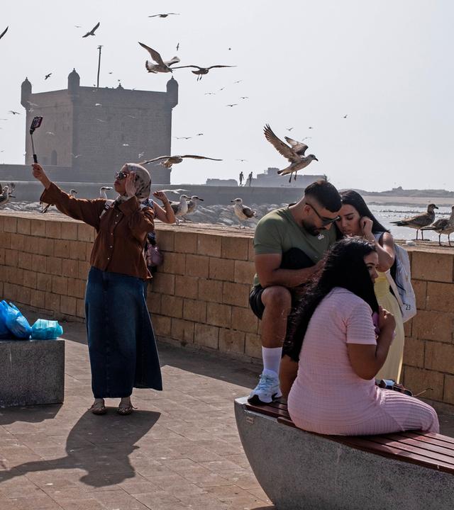 Menschen sitzen in der marrokanischen Stadt Essaouira am Wasser während Möven über ihnen fliegen.