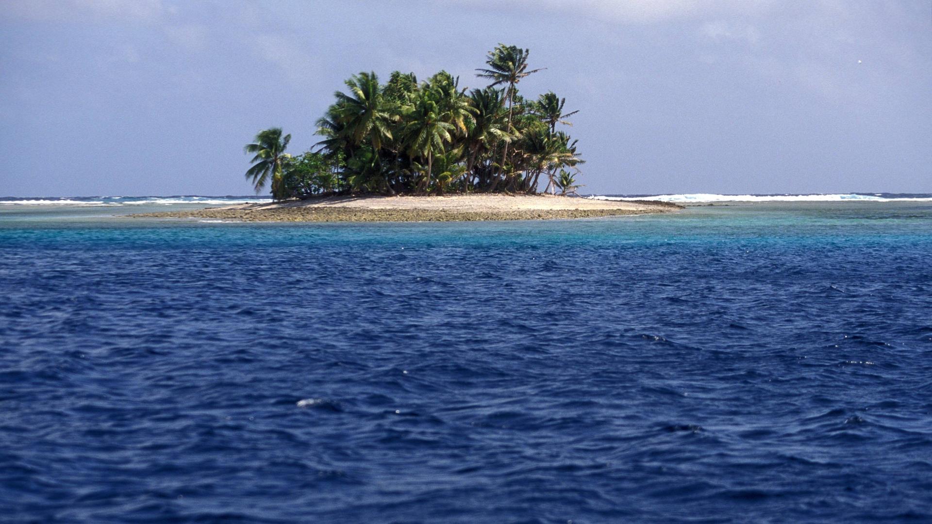 Eine der Inseln mit Palmen