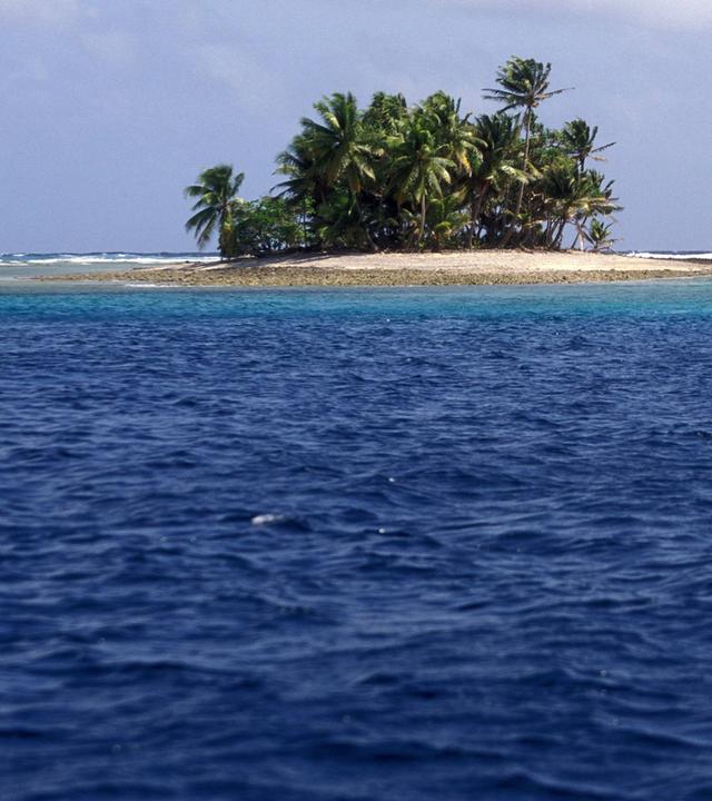 Eine der Inseln mit Palmen