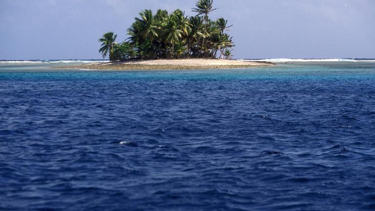 Eine der Inseln mit Palmen