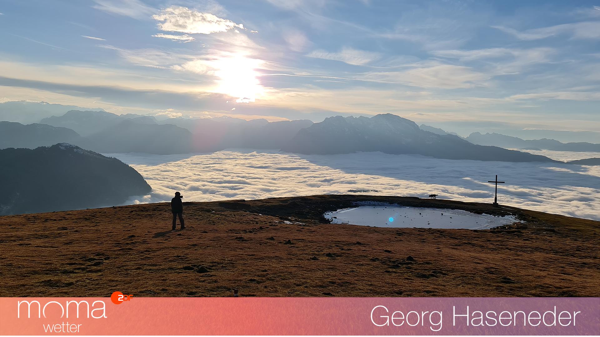 Gewinnerfoto vom 19. November 2021