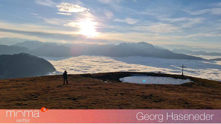Gewinnerfoto vom 19. November 2021