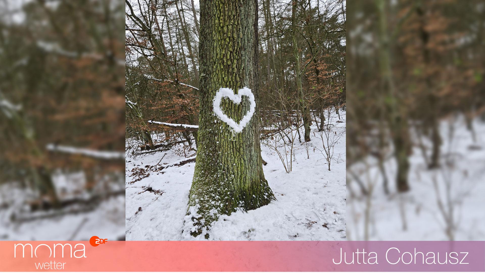 Gewinnerfoto vom 21. Februar 2025