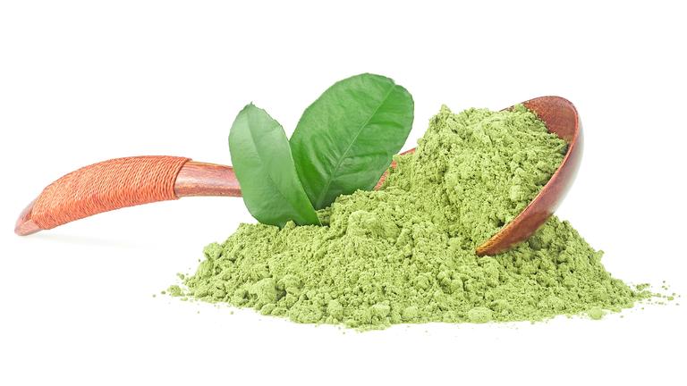 Erfrischende Matcha-Getränke ohne Alkohol