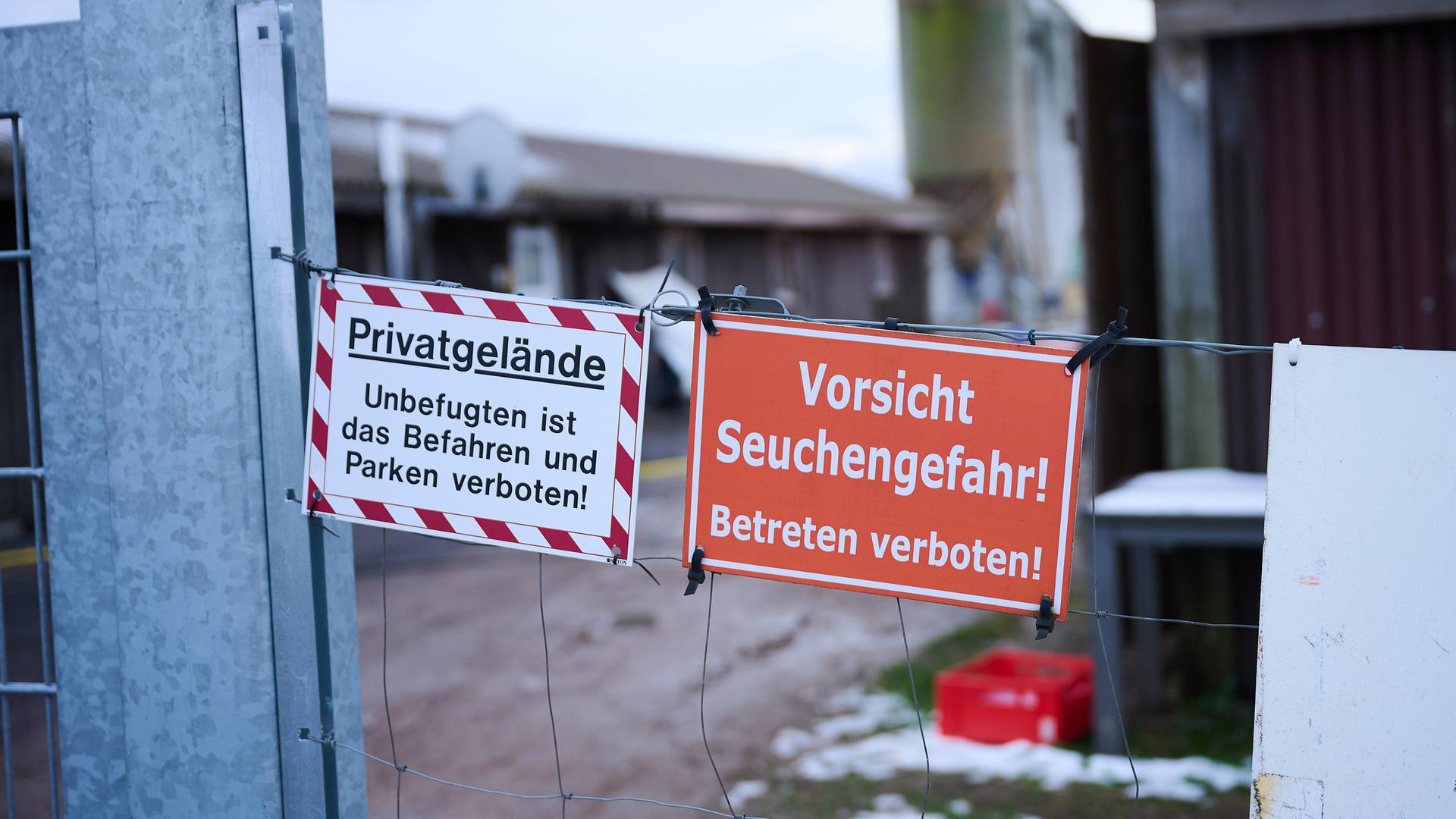 In dem Ort Mehrow in Brandenburg gibt es in einem Betrieb Fälle der Maul- und Klauenseuche
