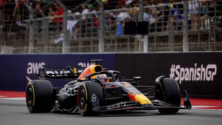 Max Verstappen (Red Bull Racing)