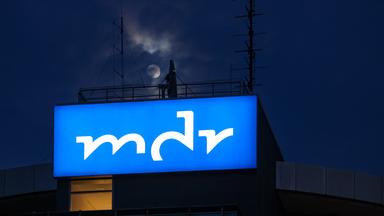 Wie eine AfD-Regierung die Medienlandschaft verändern könnte