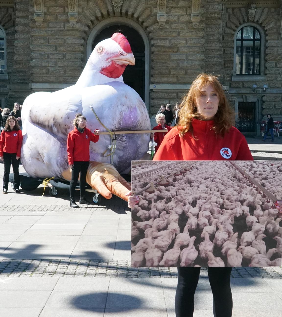  Demonstration gegen den Fleischkonsum. Heute zum Meat Exhaustion Day. Tierschutzorganisation Vier Pfoten macht mit Plakten in Hamburg auf übermäßigen Fleischkonsum aufmerksam.
