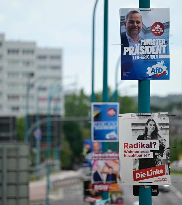 Wahlplakate mit den Kandidaten der Alternative für Deutschland (AfD), Leif-Erik Holm (oben), und der Partei Die Linke (unten) für die Landtagswahl in Mecklenburg-Vorpommern