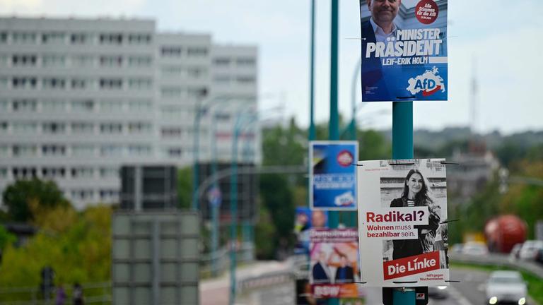 Wahlplakate mit den Kandidaten der Alternative für Deutschland (AfD), Leif-Erik Holm (oben), und der Partei Die Linke (unten) für die Landtagswahl in Mecklenburg-Vorpommern