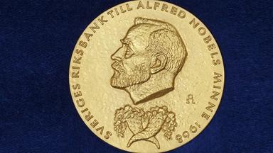 Wirtschafts-Nobelpreis für drei Forscher