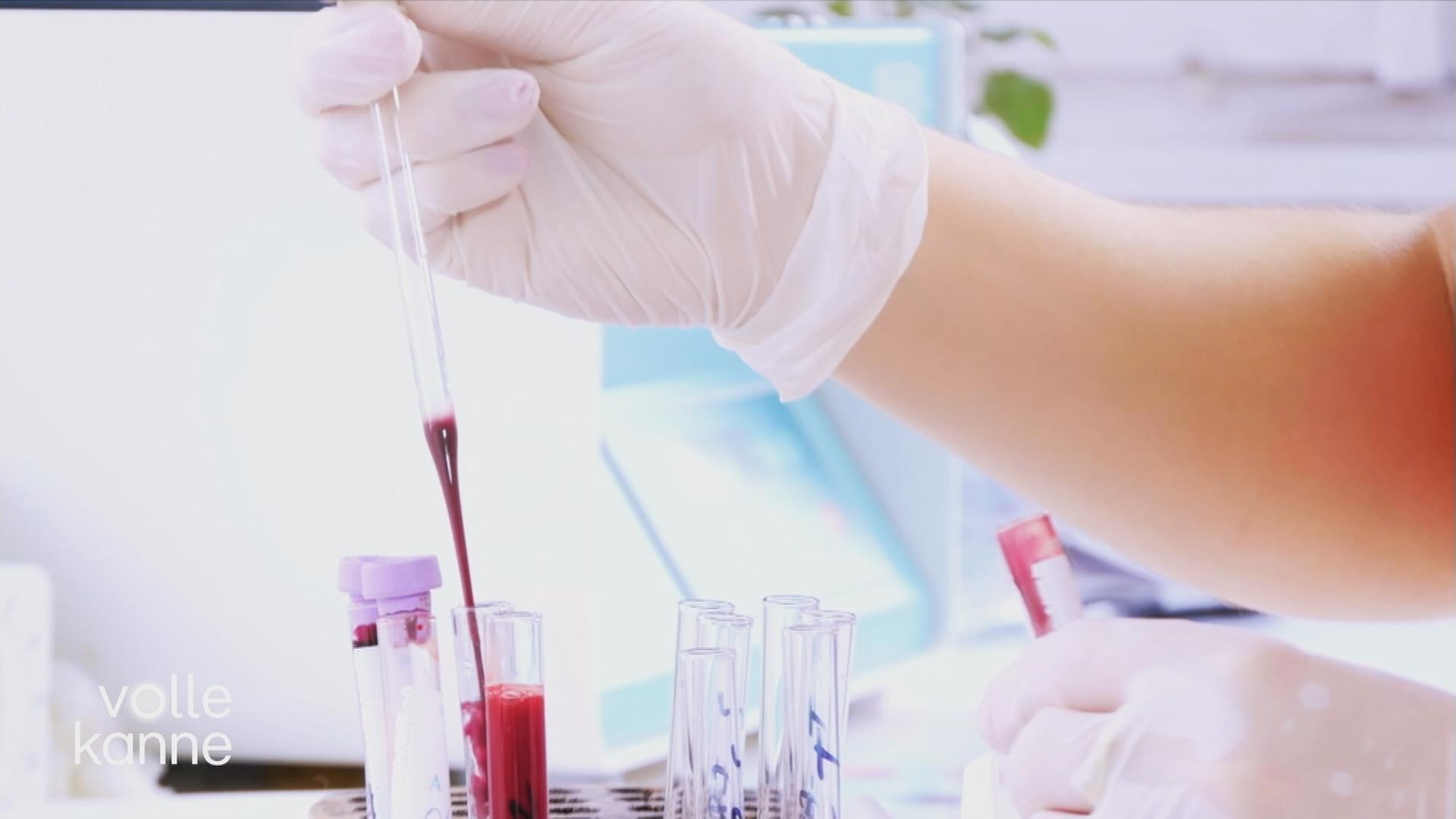 Bild im Labor: Mit einer Pipette wird eine rote Flüssigkeit in ein Reagenzglas gefüllt.