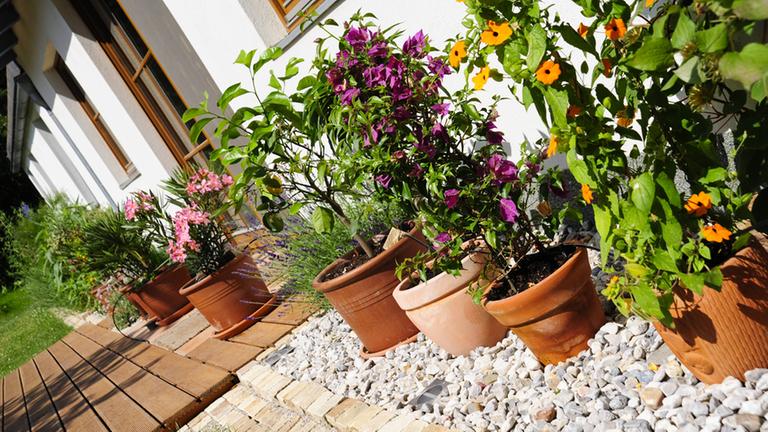 Mediterrane Terrasse